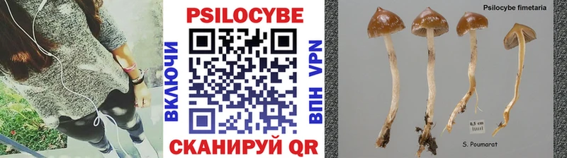 Псилоцибиновые грибы прущие грибы  купить наркотики цена  Янаул 